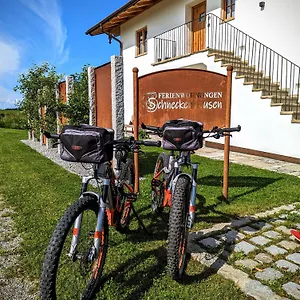 Schneckenhausen Apartment